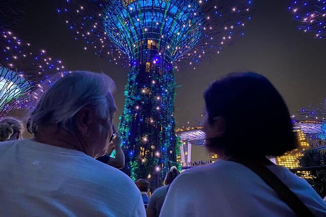 Private City Car Tour Singapore (4 Hours or 8 Hours) - FAQ