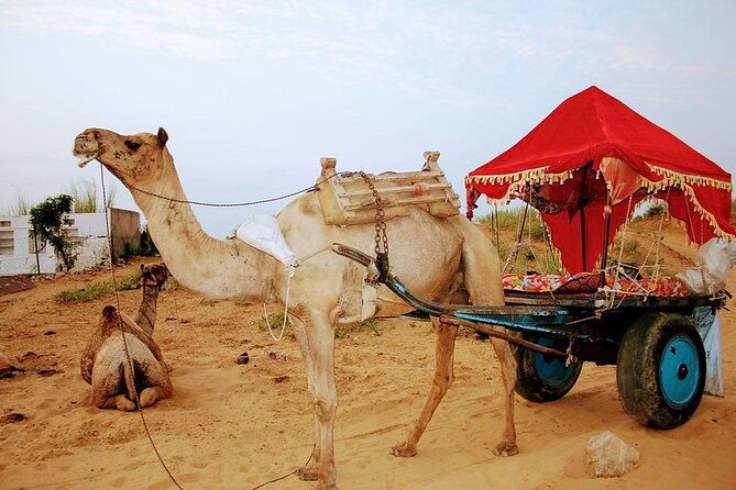 Private Day Trip from Jaipur to Ajmer & Pushkar - FAQ