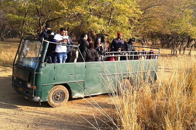 Private Day Trip to Ranthambore Tiger Reserve from Jaipur - Is This Tour Right for You?