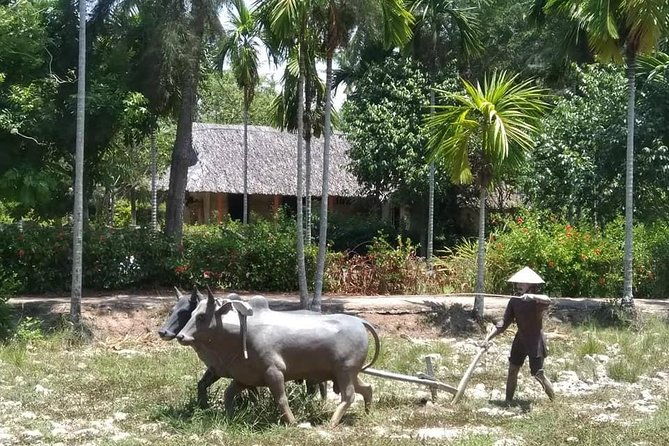 Private Day Trip To Visit MY LAI MASSACRE from Hoi an or Da Nang City - The Sum Up