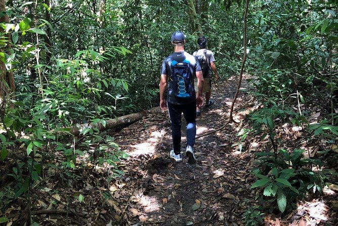 Private Full-Day Bukit Lawang Trekking Tour From Medan - The Real Experience: What Travelers Are Saying