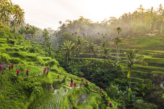 Private Full-Day Tour: Balinese Temples and Rice Terraces - Final Thoughts