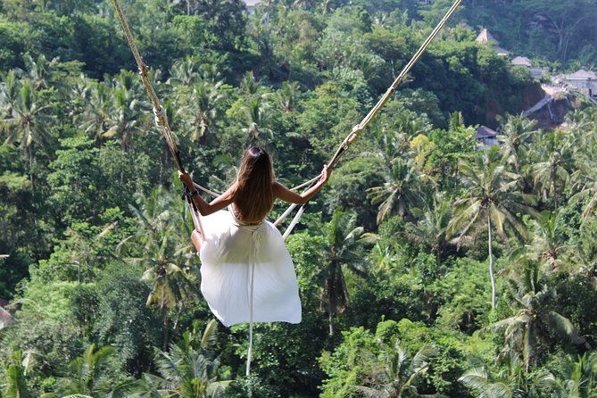 Private Full Day Tour to Ubud Highlights with Giant Swing - The Sum Up