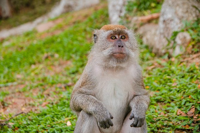 Private Kanching Waterfalls with Batu Caves & Ramayana Caves Tour - Authentic Insights from Past Travelers