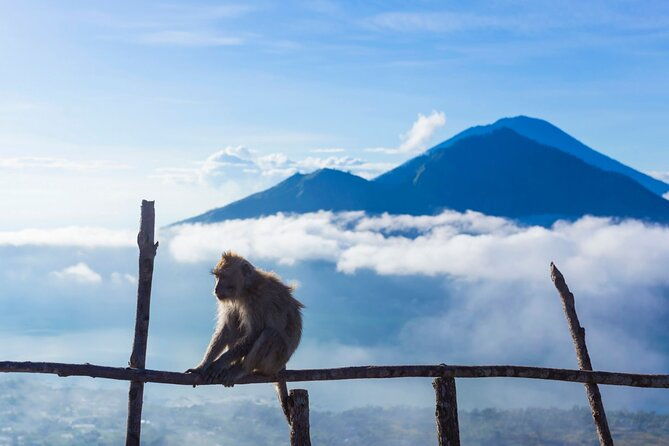 Private Mount Batur Sunrise Trekking Tour - Who Is This Tour Perfect For?