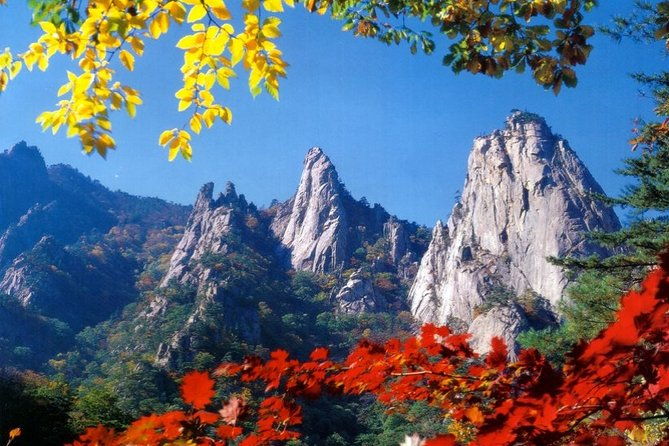 Private Mt.Seorak national park Tour and Sokcho - FAQ