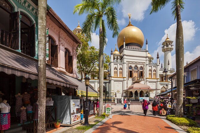 Private Singapore Chinatown, Little India and Temples Guided Tour - The Sum Up