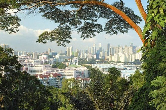 Private Singapore Full Day Round Island Tour with River Cruise - FAQ