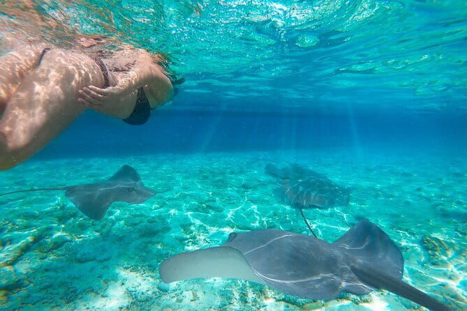 Private Speedboat Day Tour : Explore Komodo's Best - Frequently Asked Questions