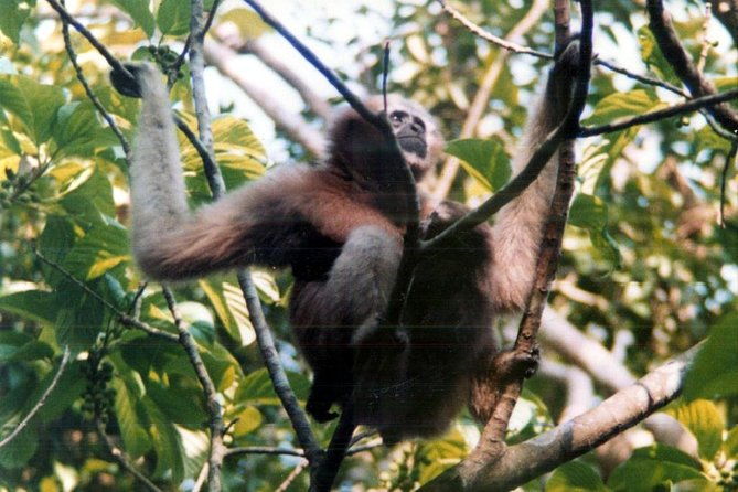 Private Tour: 5 Days - Bangladesh Nature & Culture Tour - North-eastern part - Final Thoughts