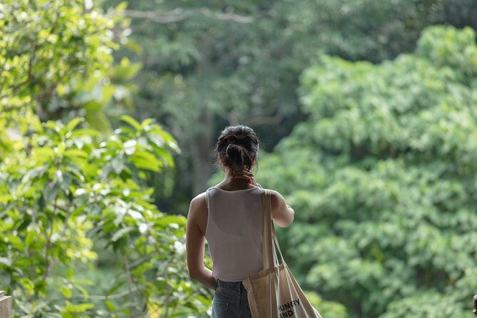 Private Tour : Bali Best Waterfalls, Temples and Monkey Forest - Final Thoughts