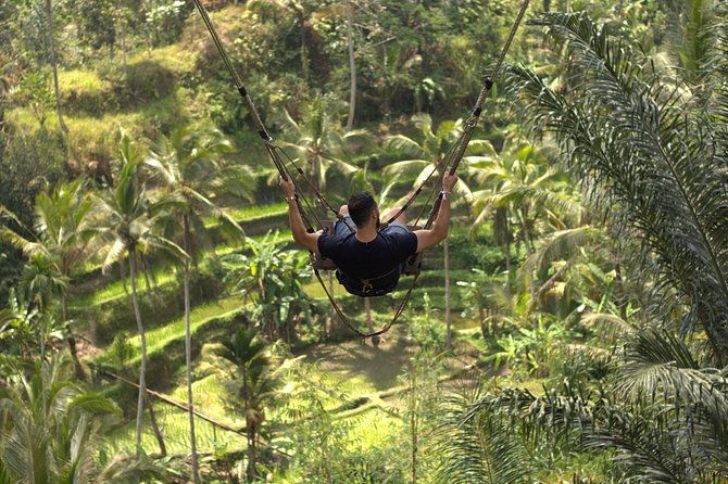 Private Tour: Bali Volcano with Jungle Swing Experience - Nature’s wonder: Tegenungan Waterfall
