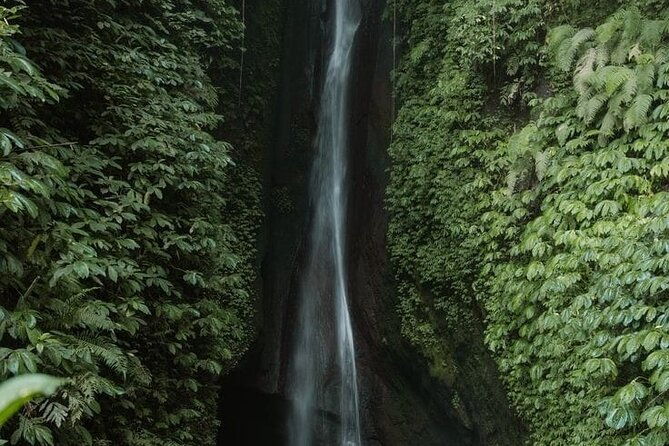 Private Tour from Leke-Leke Waterfall to Jatiluwih Rice Terrace - FAQ
