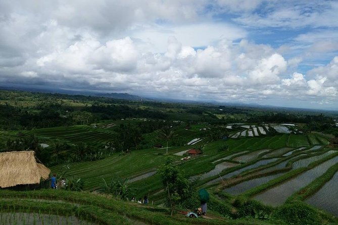 Private Tour: Jatiluwih Rice Terrace,Ulun danu and Banyu Mala Waterfall Tour - Final Thoughts