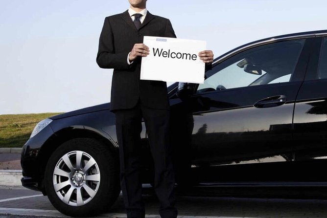 Private Transfer between Shanghai Disneyland and City Hotel - Practical Aspects to Consider