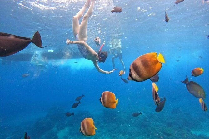 Private Yacht Trip Tour Bali - 8 Hours Day Trip Nusa Penida - SH2 - FAQ