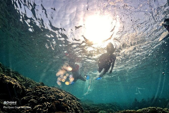 PRO-SNORKELING to Explore Hidden Coral Reefs (MAX 12 PAX) - The Bottom Line: Who Will Love This Tour?