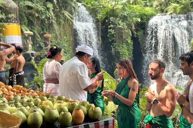 Purification Ceremony, Kehen Temple and Goa Raja Waterfall Tour - The Sum Up