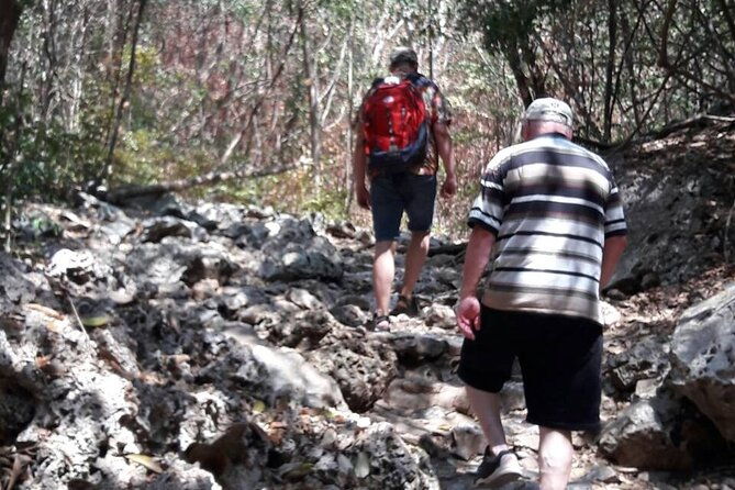 Sam Roi Yod National Park & Praya Nakhon Cave Join Group Tour - FAQ