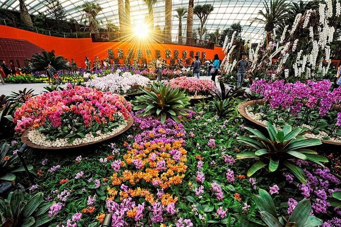 SandsSkyPark+GardensbytheBay(FlowerDome&Jurassic World)Transfers - Pricing & Overall Value
