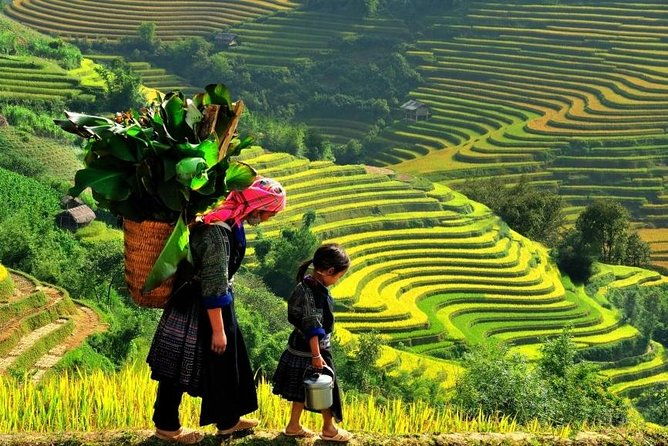 Sapa 2 Days 1 Night From Hanoi - Overnight in Hotel - FAQs