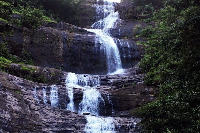 Serene Munnar Retreat: Private Tour from Kochi to the Munnar Hill - FAQ