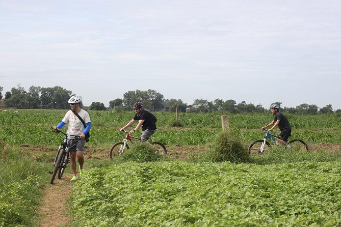Silk Island Cycling Adventure & lunch with locals - Final Thoughts: Who Should Book This Tour?