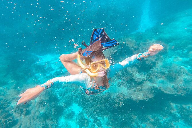 Similan Islands Private Tour - Transportation and Timing