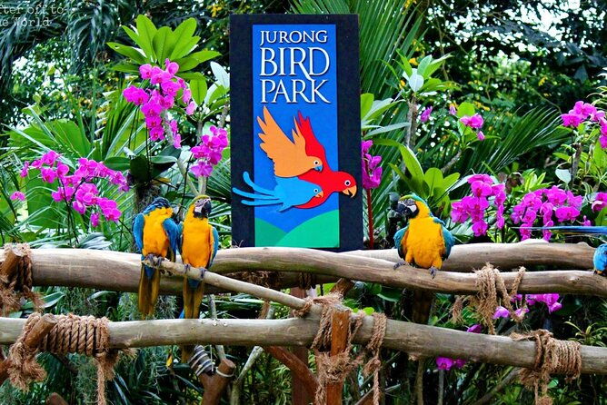 Singapore Bird Paradise & Zoo Full Day (Ticket & Transfer ) - Final Thoughts