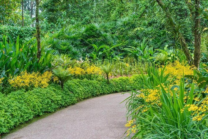 Singapore: National Orchid Garden Admission Ticket - Final Thoughts: Who Should Visit?