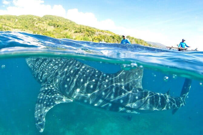 Small Group Moalboal and Badians Ultimate Adventure Tour - Frequently Asked Questions