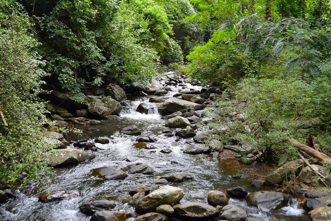 Small-Group Pala U Waterfall Jungle Tour from Hua Hin - Final Thoughts