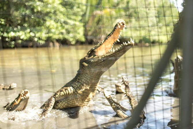 Small-Group Tour to Can Gio Vam Sat Mangrove Forest - Final Thoughts: Who Will Love This Tour?