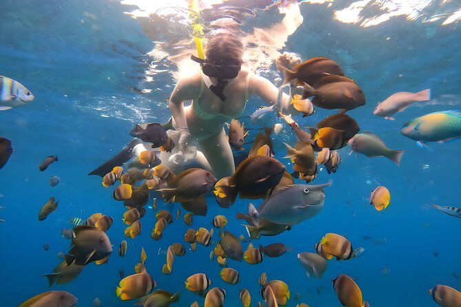 Snorkeling In Nusa Penida Departing From Bali Island - Frequently Asked Questions