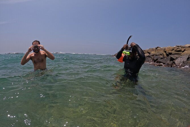 Snorkeling with Turtles in Mirissa - Frequently Asked Questions