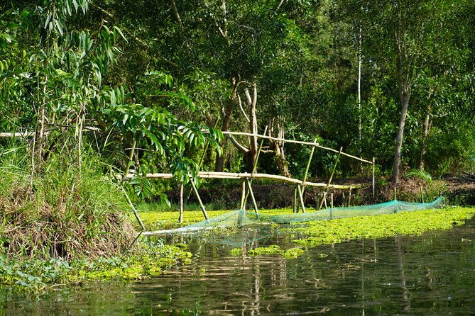 Southern Forest Tour  Explore Hau Giang Nature - The Sum Up