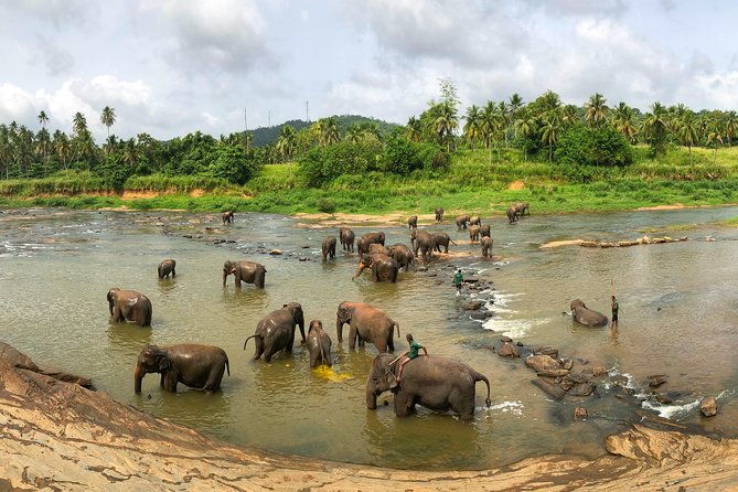 Sri Lanka Tour Package in 05 Nights 06 Days - The Sum Up: Is This Tour Worth It?