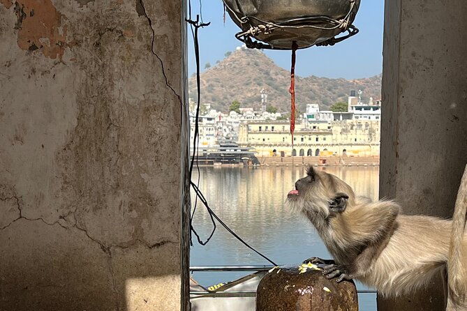 Temples Walk around 52 Ghats ( Spiritual Tour )-The Pushkar Route - Who Should Book This Tour?