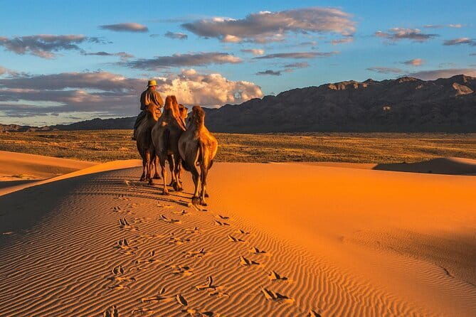 Terelj National Park and Chinggis Khaan Statue Tour - FAQ