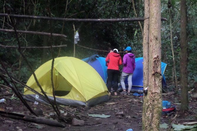 The Wild Explorer - 3 days forest trek with homestay and camping - The Sum Up
