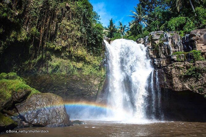 Three Main spot Bali Waterfall with Swing - What’s Not Included