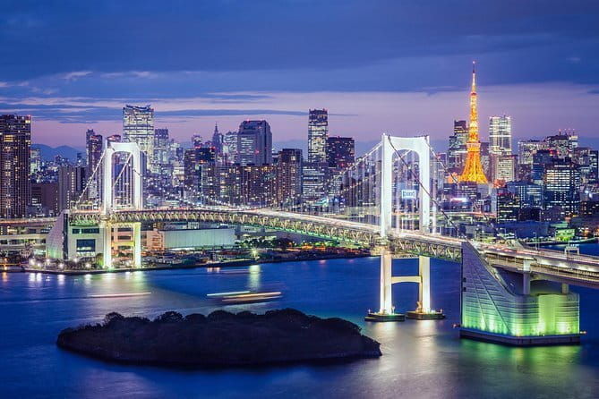 Tokyo Private Chauffeur Tour - Fully Guided - Final Thoughts