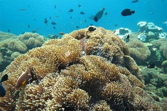 Tour Gate of Heaven at Lempuyang Temple - Blue Lagoon Snorkeling with lunch - Frequently Asked Questions