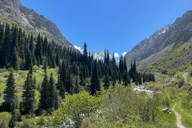 Tour to the Ala Archa National Park - The Sum Up: Is This Tour Right for You?