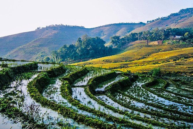 Trekking Through Rice Terraced Fields - 1Day - Frequently Asked Questions