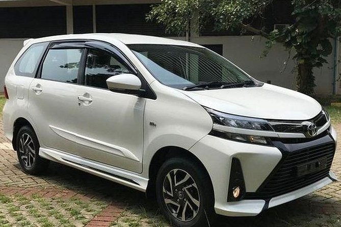 Ubud Bali Private Airport Transfers  Seamless & Stress-Free - Who Is This Best For?