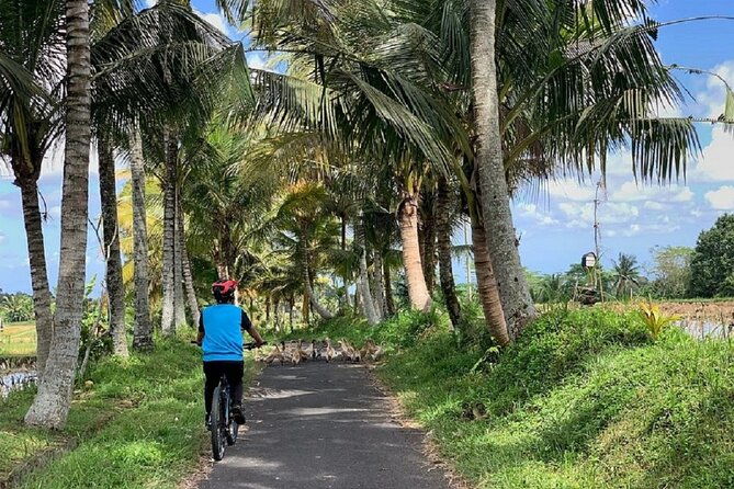 Ubud: Downhill Cycling with Volcano, Rice Terraces and Meal - Who Will Love This Tour?