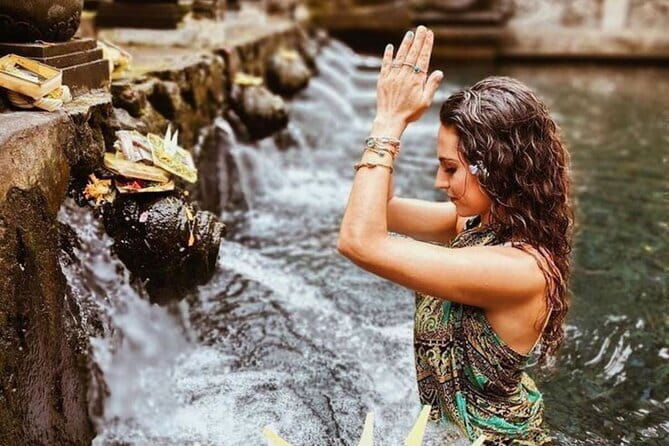 Ubud Highlight Private Charter with Jungle Swing - Who Is This Tour Best For?