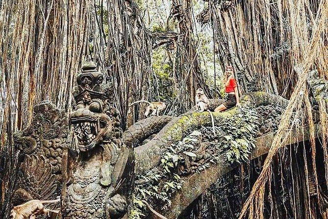 Ubud iconic waterfall and temple tours - Who Is This Tour Best Suited For?