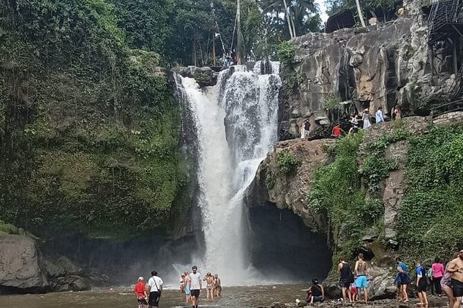 Ubud Rice Terrace Swing Waterfall Private Guided Tour - The Sum Up